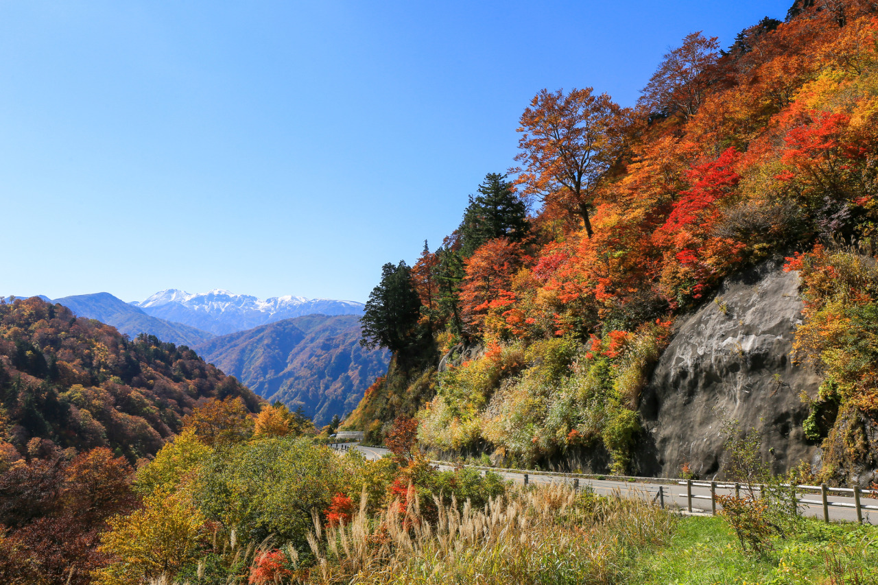 白山白川郷ホワイトロード